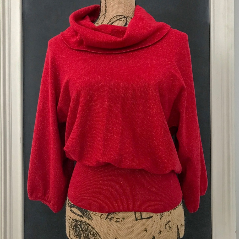 Women’s Red Sweater Style & Co